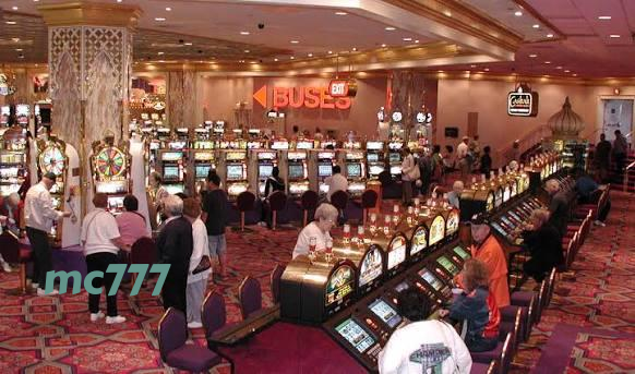 mc777 Live Casino Tables Built for Indonesia